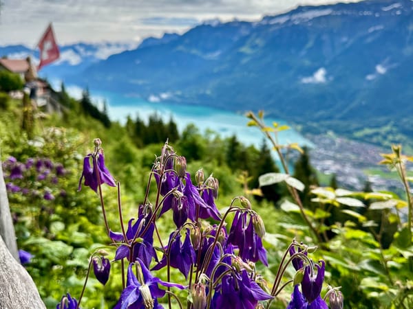 Peak Switzerland